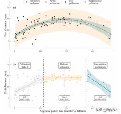 現(xiàn)代種植技術(shù)：最佳授粉閾值，最大限度地提高藍(lán)莓產(chǎn)量的研究