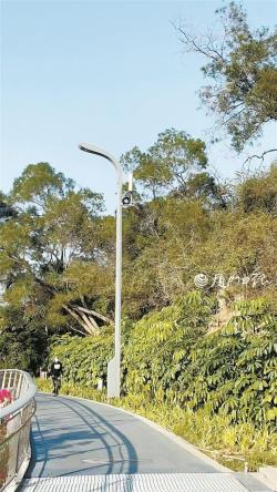 信號滿格，網絡更“絲滑”！廈門將逐步織密5G信號網