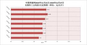 2024年12月2日 第5頁